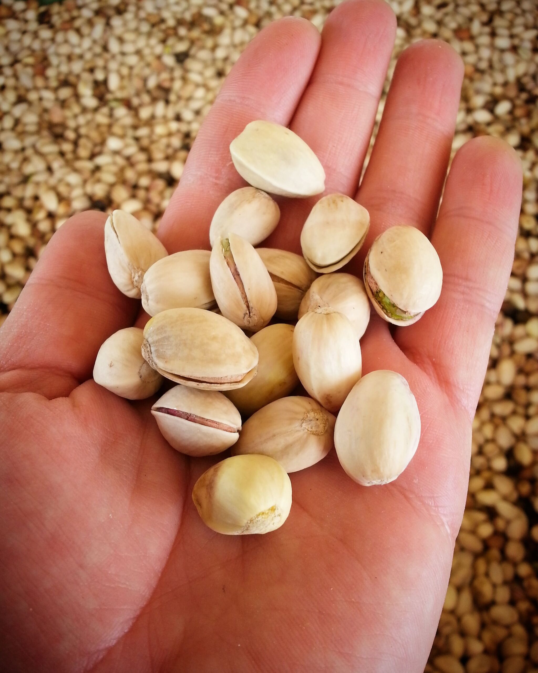 Mano-pistachos